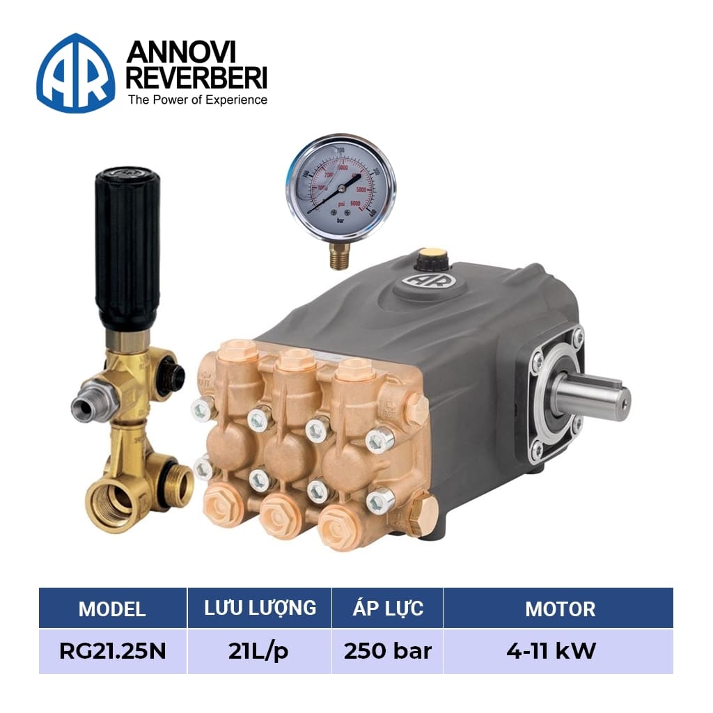 đầu bơm cao áp annovi reverberi ar rg21.25n