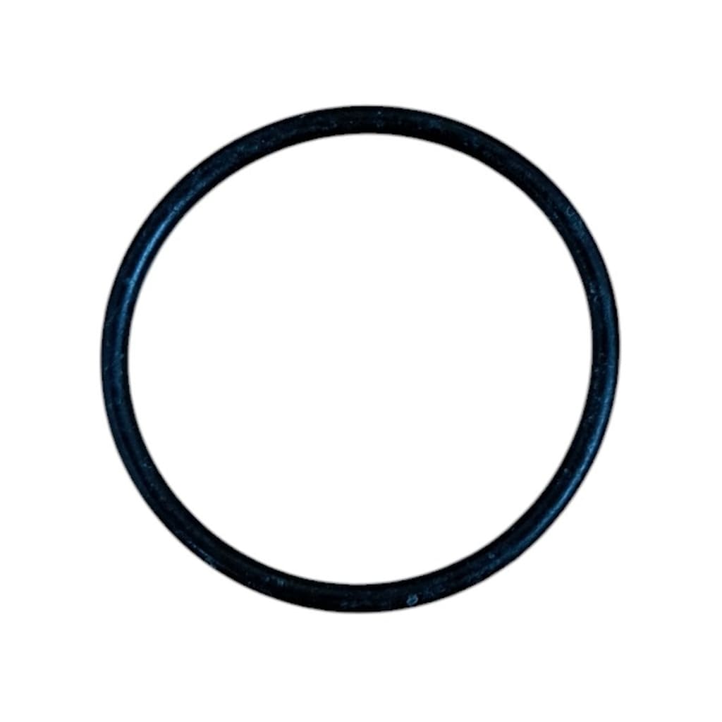 Sin căn đồng giữa long đền và trục ty Projet BM-22 (O-ring 590101063)